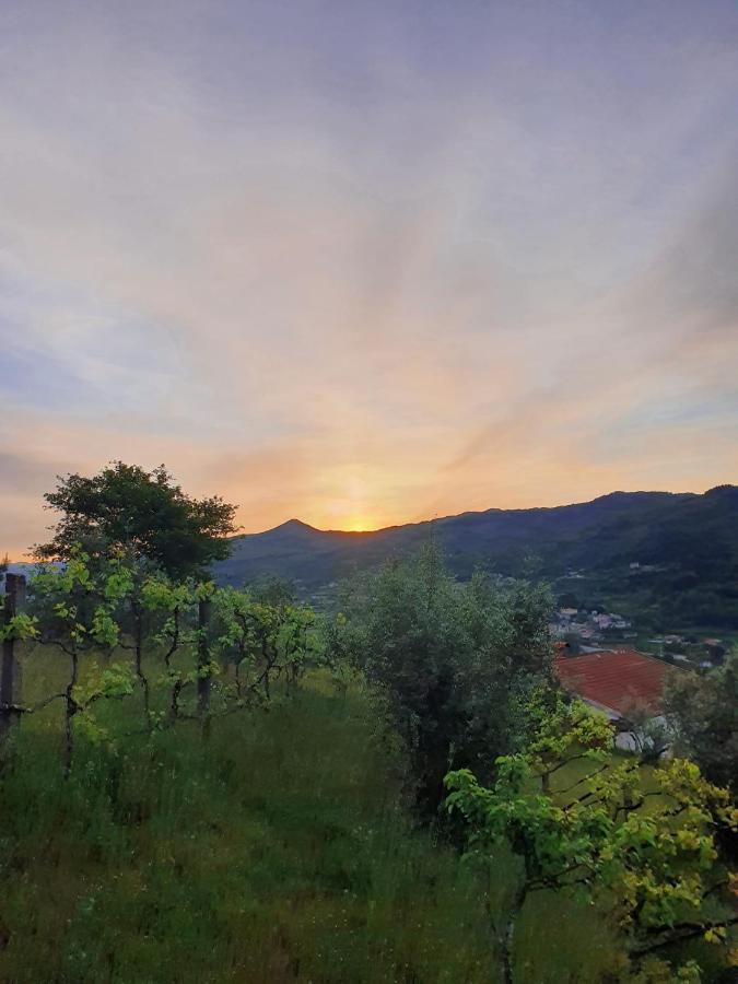 Casa Da Poca Villa Baiao Bagian luar foto