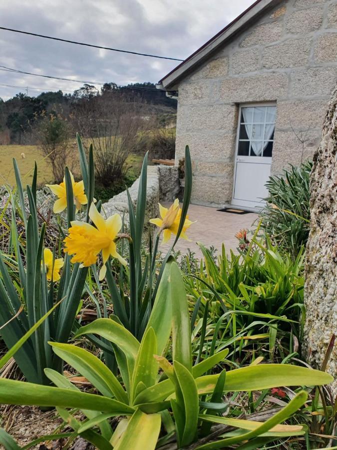 Casa Da Poca Villa Baiao Bagian luar foto