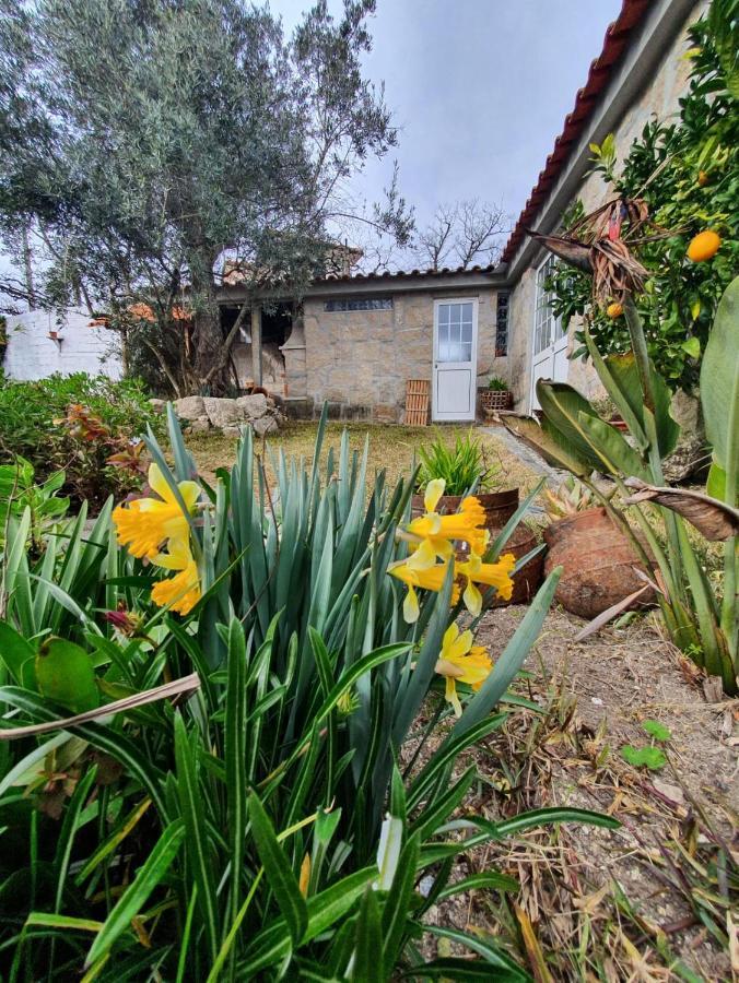 Casa Da Poca Villa Baiao Bagian luar foto